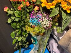 -长虫山生态公园风景林