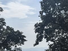 -莫干山风景区