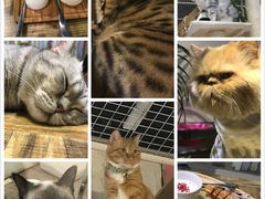 -小时光咖啡馆(开森度假森林店)