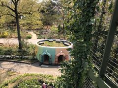 -三鹰之森吉卜力美术馆