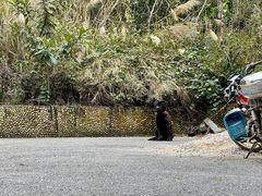 -姑婆山旅游区