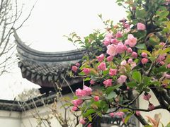 -五峰园