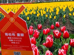 -大宁公园