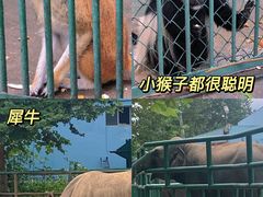 -秦皇岛野生动物园