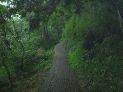 -上海佘山国家森林公园西佘山园