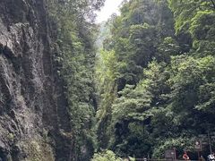 -峨眉山风景名胜区