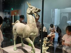 -广西壮族自治区博物馆