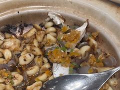 -新吉士·上海菜(浦东LCM置汇旭辉店)