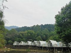 -南丹山森林王国