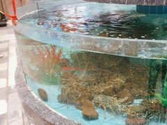 -湾仔渔村(高明店)