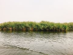 -白洋淀景区