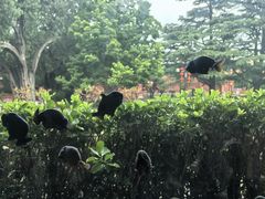 -北京市劳动人民文化宫(太庙)