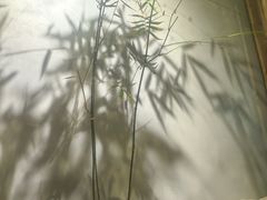 -本处·素食·融合料理(南油店)