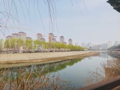 -桃花堤公园
