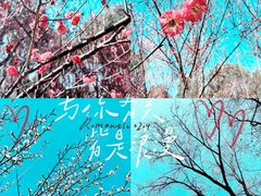 -石湖景区