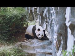 -五龙山野生动物王国
