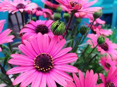 -Wagas沃歌斯(大学路店)