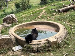 -无锡动物园·太湖欢乐园