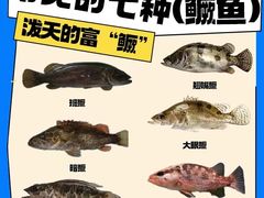 -老铺人家酒店(紫荆名流店)