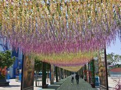 -厦门方特梦幻王国