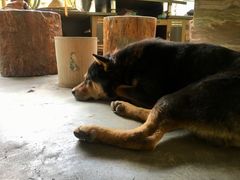 -桃园美食(水库路店)