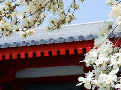 -大慈恩寺(大雁塔)