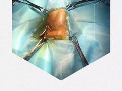 -仁华宠物医院(青羊店)