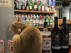 -咖法森林·咖啡  酒吧(天河店)