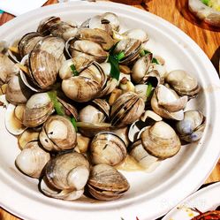 深海日记国产翡翠白虾