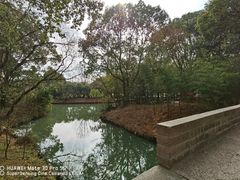 -同里国家湿地公园