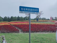 -同里国家湿地公园