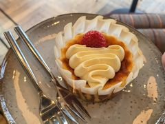 圣诞奶油草莓巴斯克-Wagas沃歌斯(苏州中心店)