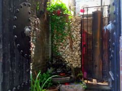 -小洲村