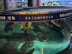 -莞香楼·正宗东莞菜(东升店)