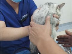 -萌兽医馆·绝育·24小时内科·宠物医院(德胜店)