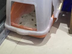 -宠颐生中康贝怡动物医院