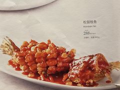 -蝶园·装修中(BFC外滩金融中心店)