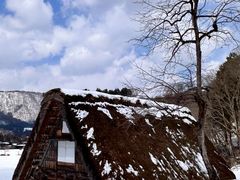 -白川乡与五箇山的合掌构造村落
