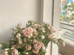 -左悦·艾灸调理·推拿按摩·精油SPA(卓悦汇店)