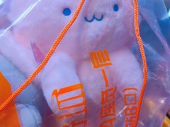 -可爱抓 COCO  GOTCHA(天津鹏欣水游城店)