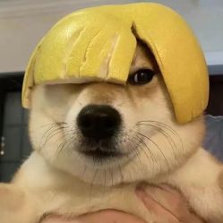 -奇幻丛林(佛罗伦萨小镇店)