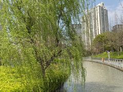 -苏州河梦清园环保主题公园