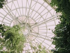 -郑州植物园