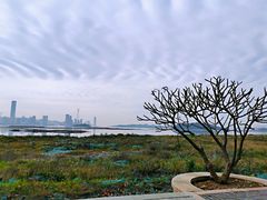 -海沧湾公园