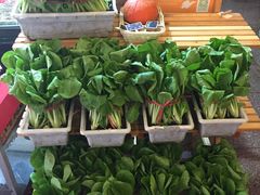 -旺角小渔村(幸福中路店)