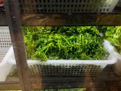 -阿才景东带皮牛肉馆(茶林苑店)