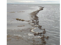-青海湖仙女湾景区