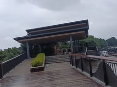 -东寨港红树林旅游区