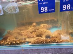 -金海湾海鲜总店