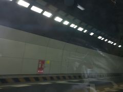 -胶州湾海底隧道
